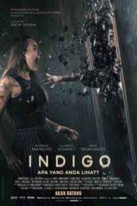 Indigo (2023) เธอเห็นอะไร