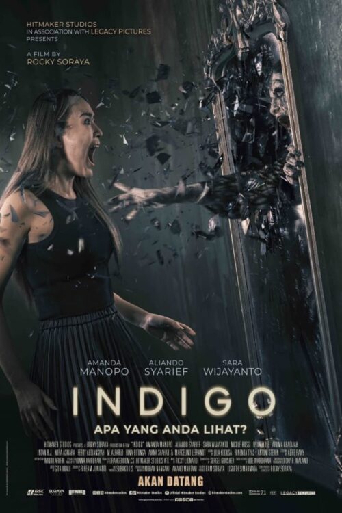 Indigo (2023) เธอเห็นอะไร