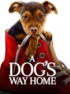A Dog’s Way Home (2019) เพื่อนรักผจญภัยสี่ร้อยไมล์