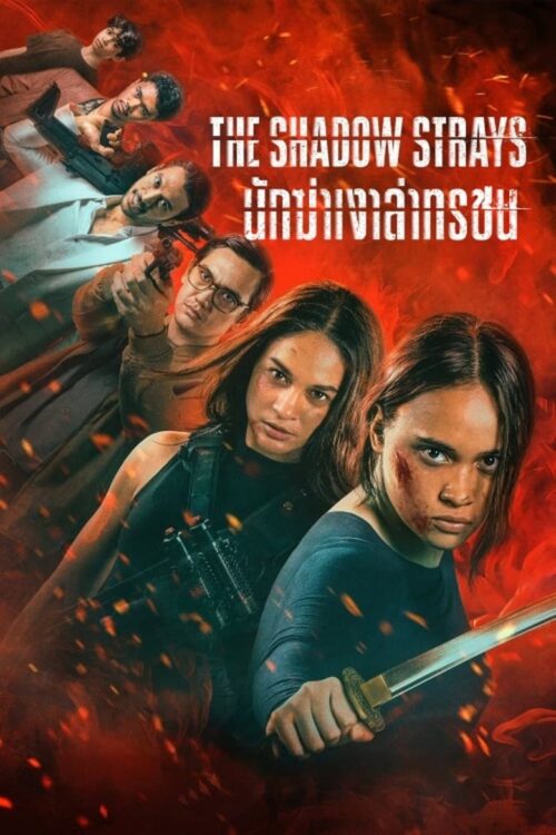 นักฆ่าเงาล่าทรชน The Shadow Strays (2024)