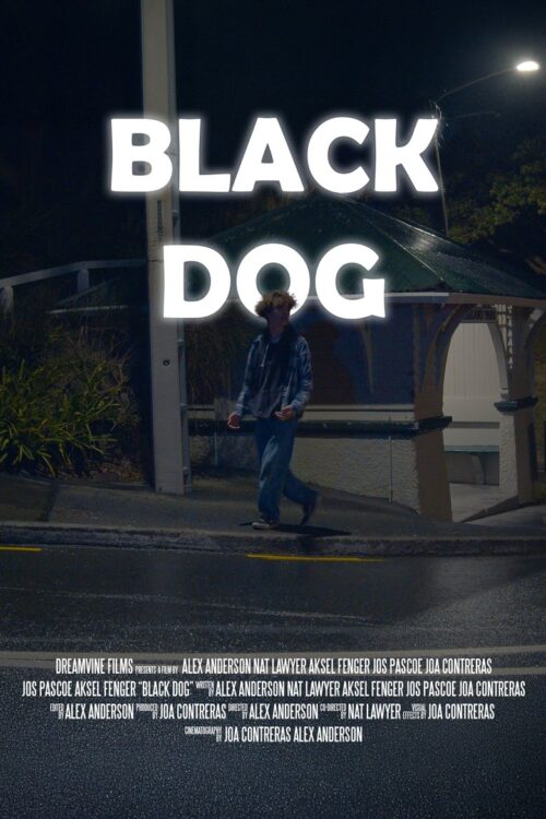 Black Dog (2024) สี่ขาหัวใจไม่ดำ